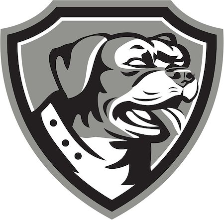 simsearch:400-08627495,k - Black and white illustration of a Rottweiler Metzgerhund mastiff-dog guard dog head looking to the side set inside crest done in retro style. Stock Photo - Budget Royalty-Free & Subscription, Code: 400-08617790