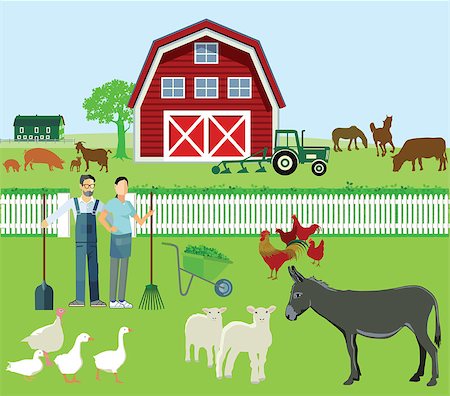 simsearch:400-07658500,k - Farmer and Agriculture with animals Stock Photo - Budget Royalty-Free & Subscription, Code: 400-08617856