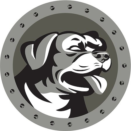 simsearch:400-08627495,k - Metallic style illustration of a Rottweiler Metzgerhund mastiff-dog guard dog head looking to the side set inside circle with screws done in retro style. Stock Photo - Budget Royalty-Free & Subscription, Code: 400-08617925