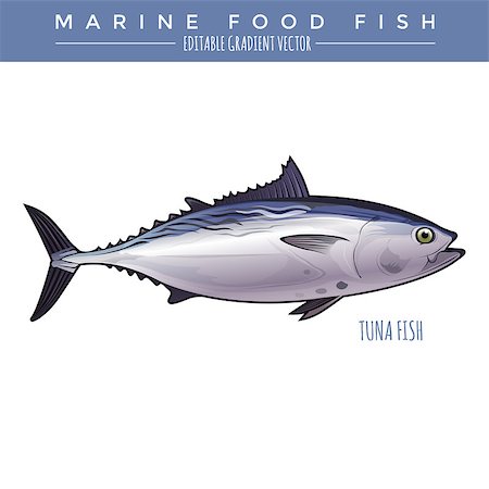 Tuna illustration. Marine food fish, editable gradient vector Foto de stock - Royalty-Free Super Valor e Assinatura, Número: 400-08618014