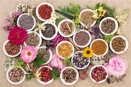 simsearch:400-05333490,k - Herb and flower selection used in natural herbal medicine over hemp paper background. Photographie de stock - Aubaine LD & Abonnement, Code: 400-08618565