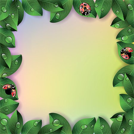 simsearch:400-07984864,k - Red ladybugs and green leaves on colorful background. Vector illustration. Stockbilder - Microstock & Abonnement, Bildnummer: 400-08619637