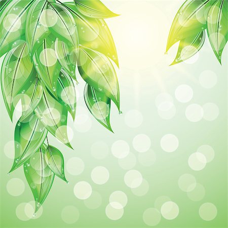 simsearch:400-07984864,k - Green leaves on colorful background at sunset. Vector illustration. Stockbilder - Microstock & Abonnement, Bildnummer: 400-08619749