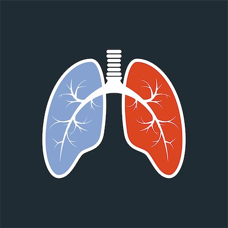 simsearch:400-08379540,k - Lungs silhouette - fluorography of healthy lungs Stock Photo - Budget Royalty-Free & Subscription, Code: 400-08612174