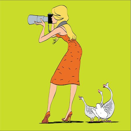 Girl photographer and geese in nature. Shooting wildlife. A humorous scene. The woman photographer Photographie de stock - Aubaine LD & Abonnement, Code: 400-08612700