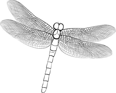 simsearch:400-06560180,k - illustration black  sketch of a dragonfly isolated on white Stock Photo - Budget Royalty-Free & Subscription, Code: 400-08613876