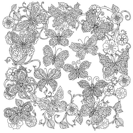 designs for background black and white colors - Uncoloured flowers and butterfly for adult coloring book in famous zenart art-therapy antistress style. Hand-drawn, retro, doodle, vector, mandala style, uncoloured for coloring book or poster design. Stock Photo - Budget Royalty-Free & Subscription, Code: 400-08624411