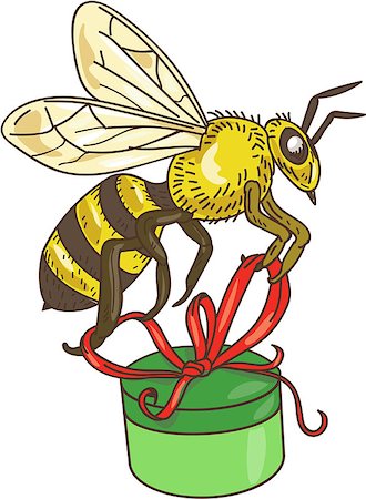 simsearch:400-08623964,k - Drawing sketch style illustration of a worker honey bee carrying a round gift box present with ribbon viewed from the side set on isolated white background. Foto de stock - Royalty-Free Super Valor e Assinatura, Número: 400-08625163