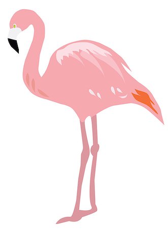 vector illustration of flamingo birds silhouettes Stock Photo - Budget Royalty-Free & Subscription, Code: 400-08626559