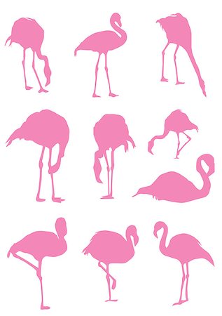 vector illustration of flamingo birds silhouettes Photographie de stock - Aubaine LD & Abonnement, Code: 400-08626561