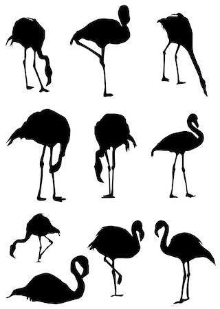 vector illustration of flamingo birds silhouettes Stock Photo - Budget Royalty-Free & Subscription, Code: 400-08626563