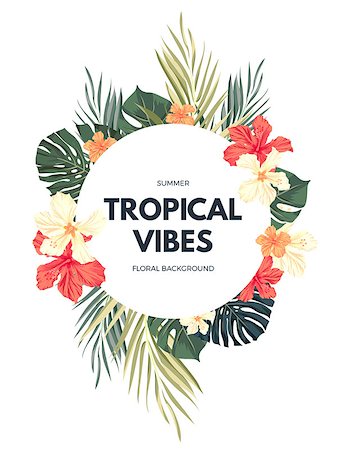 Bright hawaiian design with tropical plants and hibiscus flowers, vector illustration Stock Photo - Budget Royalty-Free & Subscription, Code: 400-08626803