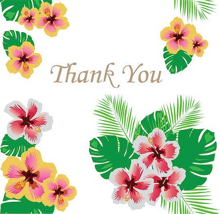 simsearch:400-05728242,k - vector illustration of thank you card floral frame Photographie de stock - Aubaine LD & Abonnement, Code: 400-08627435