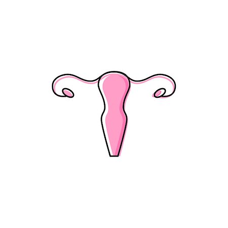 Vector uterus outline healthcare gynecology icon design Stock Photo - Budget Royalty-Free & Subscription, Code: 400-08627944