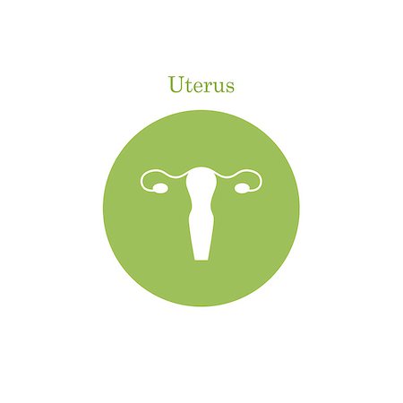 Vector uterus outline healthcare gynecology icon design Stock Photo - Budget Royalty-Free & Subscription, Code: 400-08627945
