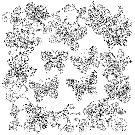designs for background black and white colors - Uncoloured flowers and butterfly for adult coloring book in famous zenart art-therapy antistress style. Hand-drawn, retro, doodle, vector, mandala style, uncoloured for coloring book or poster design. Stock Photo - Budget Royalty-Free & Subscription, Code: 400-08628221