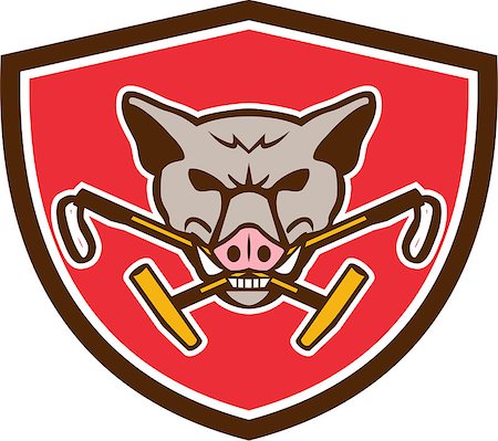 simsearch:400-08620286,k - Illustration of an angry wild pig hog head biting crossed polo mallet viewed from front set inside shield crest on isolated background done in retro style. Foto de stock - Super Valor sin royalties y Suscripción, Código: 400-08628458