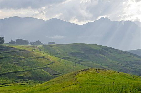 View of landscape below Simien mountains park, Ethiopia. Foto de stock - Royalty-Free Super Valor e Assinatura, Número: 400-08629073