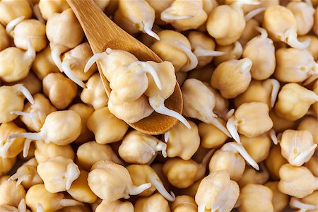 grains of germinated chickpeas in a wooden spoon Stock Photo - Budget Royalty-Free & Subscription, Code: 400-08629125