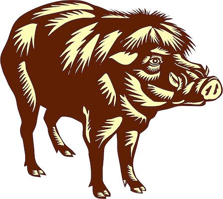 simsearch:400-08617785,k - Illustration of the Philippine warty pig or Sus philippensis standing viewed from the side on isolated white background done in retro woodcut style. Stock Photo - Budget Royalty-Free & Subscription, Code: 400-08629140