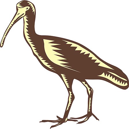 simsearch:400-08617785,k - Illustration of a egret heron crane viewed from the side set on isolated background done in retro woodcut style. Stock Photo - Budget Royalty-Free & Subscription, Code: 400-08629200
