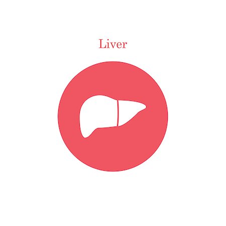 Simple liver icon. Human abdomen internal organs health design Stock Photo - Budget Royalty-Free & Subscription, Code: 400-08629410