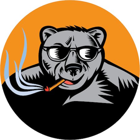 patrimonio (artist) - Illustration of a black bear wearing sunglasses smoking cigar viewed from front set inside circle done in retro woodcut style. Foto de stock - Super Valor sin royalties y Suscripción, Código: 400-08620267