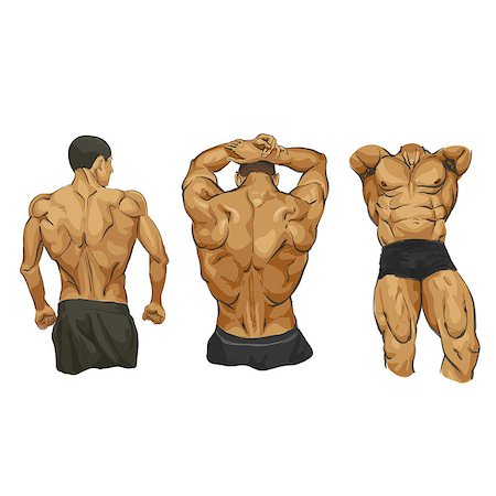 simsearch:400-06099676,k - Fitness muscular man body illustration Foto de stock - Super Valor sin royalties y Suscripción, Código: 400-08620624