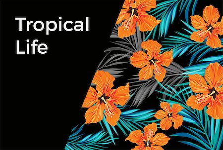 Summer tropical hawaiian sale background with palm tree leaves and exotic flowers, space for text, vector illustration. Stock Photo - Budget Royalty-Free & Subscription, Code: 400-08620728