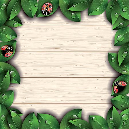 simsearch:400-07984864,k - Red ladybugs and green leaves on wooden texture background. Vector illustration. Stockbilder - Microstock & Abonnement, Bildnummer: 400-08620721