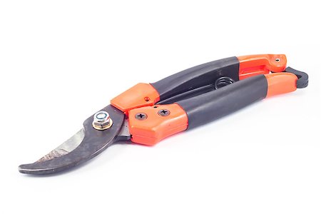 simsearch:625-01263851,k - Pruner isolated on white background, stock photo Photographie de stock - Aubaine LD & Abonnement, Code: 400-08620879
