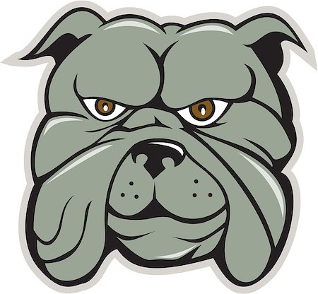 simsearch:400-08627495,k - Illustration of a bulldog head viewed from front set on isolated white background done in cartoon style. Stock Photo - Budget Royalty-Free & Subscription, Code: 400-08621184