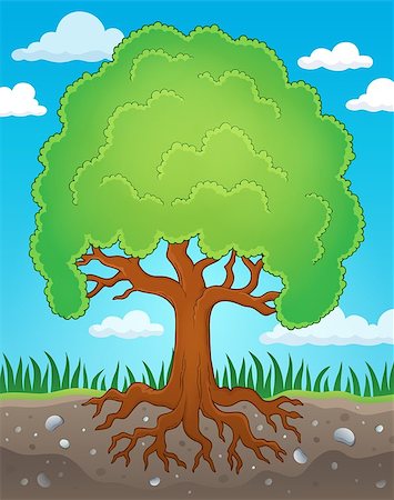 simsearch:400-05885717,k - Tree with roots theme image 2 - eps10 vector illustration. Stock Photo - Budget Royalty-Free & Subscription, Code: 400-08621986