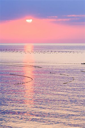 Beautiful fascinate morning sea view with sunrise, sun track on surface and fishing nets. Photographie de stock - Aubaine LD & Abonnement, Code: 400-08622187