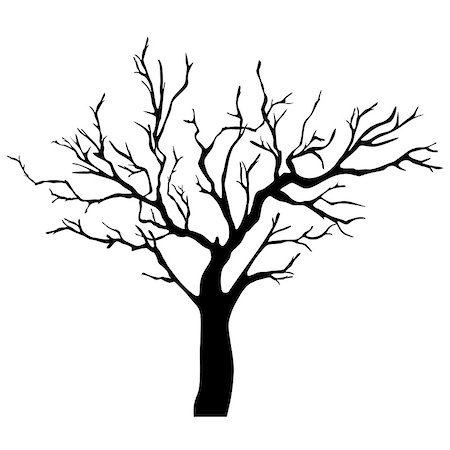 Vector Tree Silhouette Isolated on White Backgorund. Foto de stock - Super Valor sin royalties y Suscripción, Código: 400-08622310