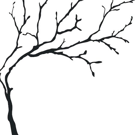 Vector Tree Silhouette Isolated on White Backgorund. Foto de stock - Super Valor sin royalties y Suscripción, Código: 400-08622313