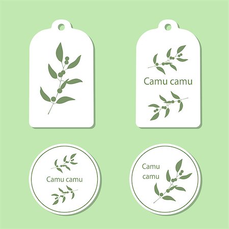 Camu camu leaves and berries vector illustration isolated. Superfood Camu camu green silhouette. Tags and Labels Foto de stock - Super Valor sin royalties y Suscripción, Código: 400-08622925