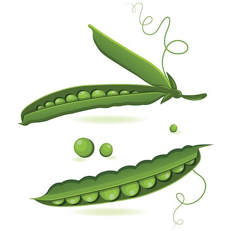 simsearch:400-05075296,k - pea pods of green peas isolated vector illustration Stock Photo - Budget Royalty-Free & Subscription, Code: 400-08623342
