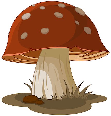 Illustration of magic mushroom Stock Photo - Budget Royalty-Free & Subscription, Code: 400-08623353