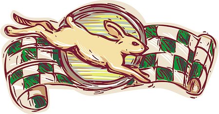 simsearch:400-08623964,k - Drawing sketch style illustration of a rabbit jumping viewed from the side with racing flag in the background on isolated white background. Foto de stock - Royalty-Free Super Valor e Assinatura, Número: 400-08623956