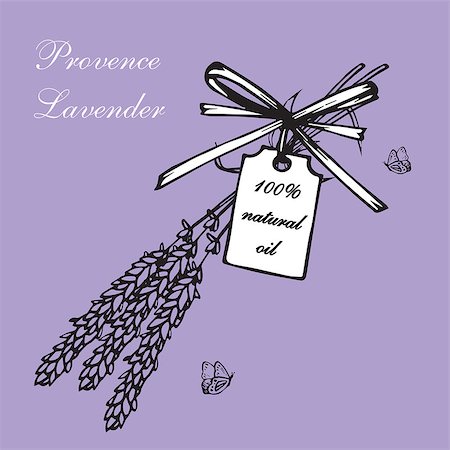 simsearch:400-09096754,k - Vintage hand drawn lavender vector illustration isolated on violet background. Engraving illustration.  Lavender herbal bouquets and label in vintage style Foto de stock - Super Valor sin royalties y Suscripción, Código: 400-08646883