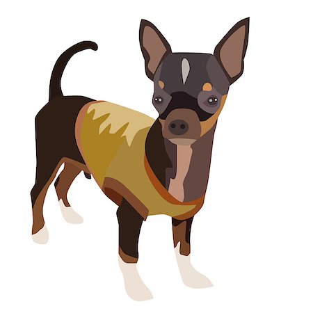 simsearch:400-08920015,k - Vector illustration cute dog chihuahua Stockbilder - Microstock & Abonnement, Bildnummer: 400-08647644