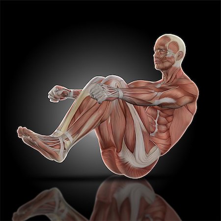 3D render of a medical figure bodybuilder with muscle map in a sit up pose Stock Photo - Budget Royalty-Free & Subscription, Code: 400-08647674