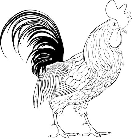 simsearch:400-07047642,k - rooster, farm cartoon animal, monochrome cock, bird icon line art Stock Photo - Budget Royalty-Free & Subscription, Code: 400-08647695