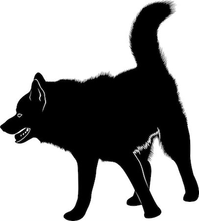 fashion dog cartoon - laika. Siberian Laika. Husky dog. Husky dog pet favorite of black silhouette isolated on white background Stock Photo - Budget Royalty-Free & Subscription, Code: 400-08648707