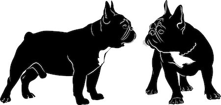 simsearch:400-08651756,k - Dog Bulldog. The dog breed bulldog.Dog Bulldog black silhouette vector isolated on white background. Fotografie stock - Microstock e Abbonamento, Codice: 400-08649450