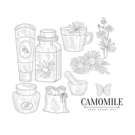 Camomile Cosmetics And Tea Hand Drawn Realistic Detailed Sketch In Classy Simple Pencil Style On White Background Foto de stock - Super Valor sin royalties y Suscripción, Código: 400-08654080