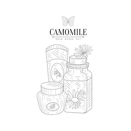 simsearch:400-08776897,k - Camomile Natural Cosmetics Hand Drawn Realistic Detailed Sketch In Classy Simple Pencil Style On White Background Stockbilder - Microstock & Abonnement, Bildnummer: 400-08654083