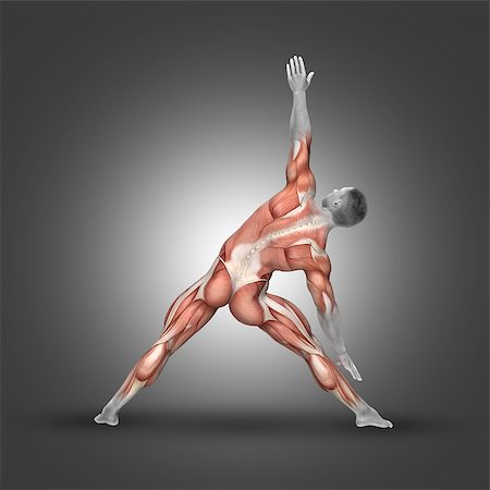 rectus femoris exercises - 3D render of a male figure in triangle pose highlighting the muscles used in this exercise Stock Photo - Budget Royalty-Free & Subscription, Code: 400-08650652