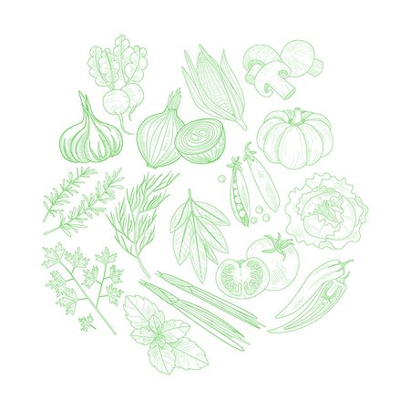 pic of cabbage for drawing - Set Of Vegetables Hand Drawn Artistic Vector Illustration In Sketch Style On White Background Stock Photo - Budget Royalty-Free & Subscription, Code: 400-08651564